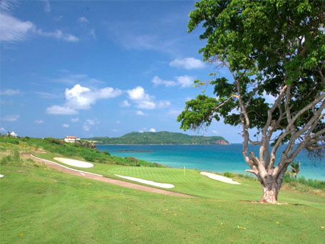 Picture of a golf course